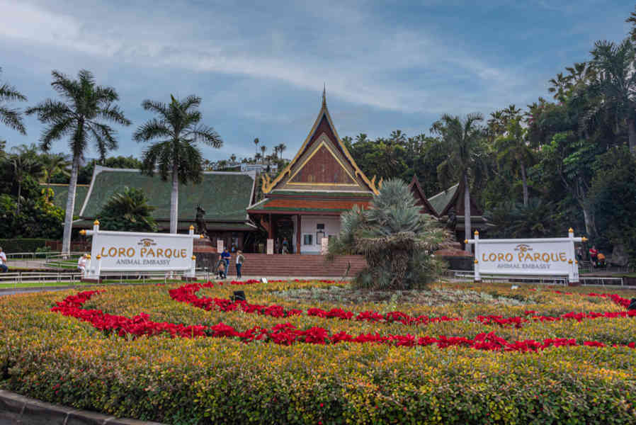 Tenerife 203 - Puerto de la Cruz - Loro Parque.jpg
